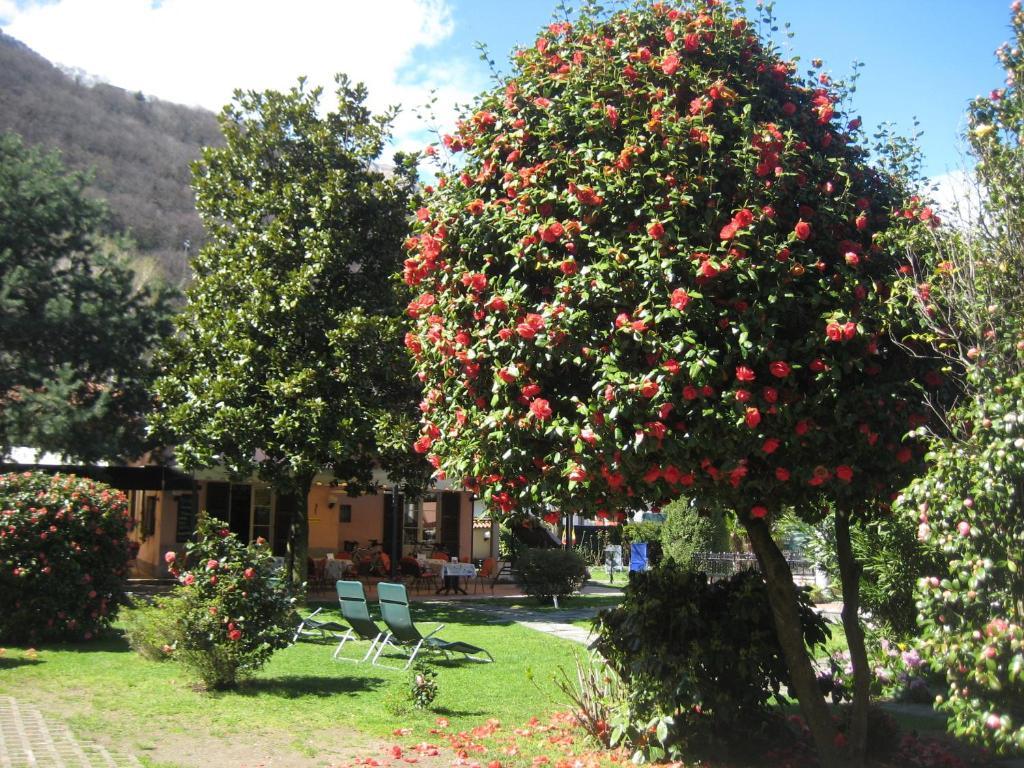 Villa Margherita Lake Maggiore Exteriér fotografie