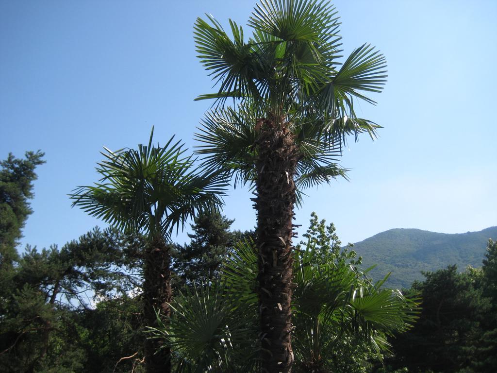 Villa Margherita Lake Maggiore Exteriér fotografie